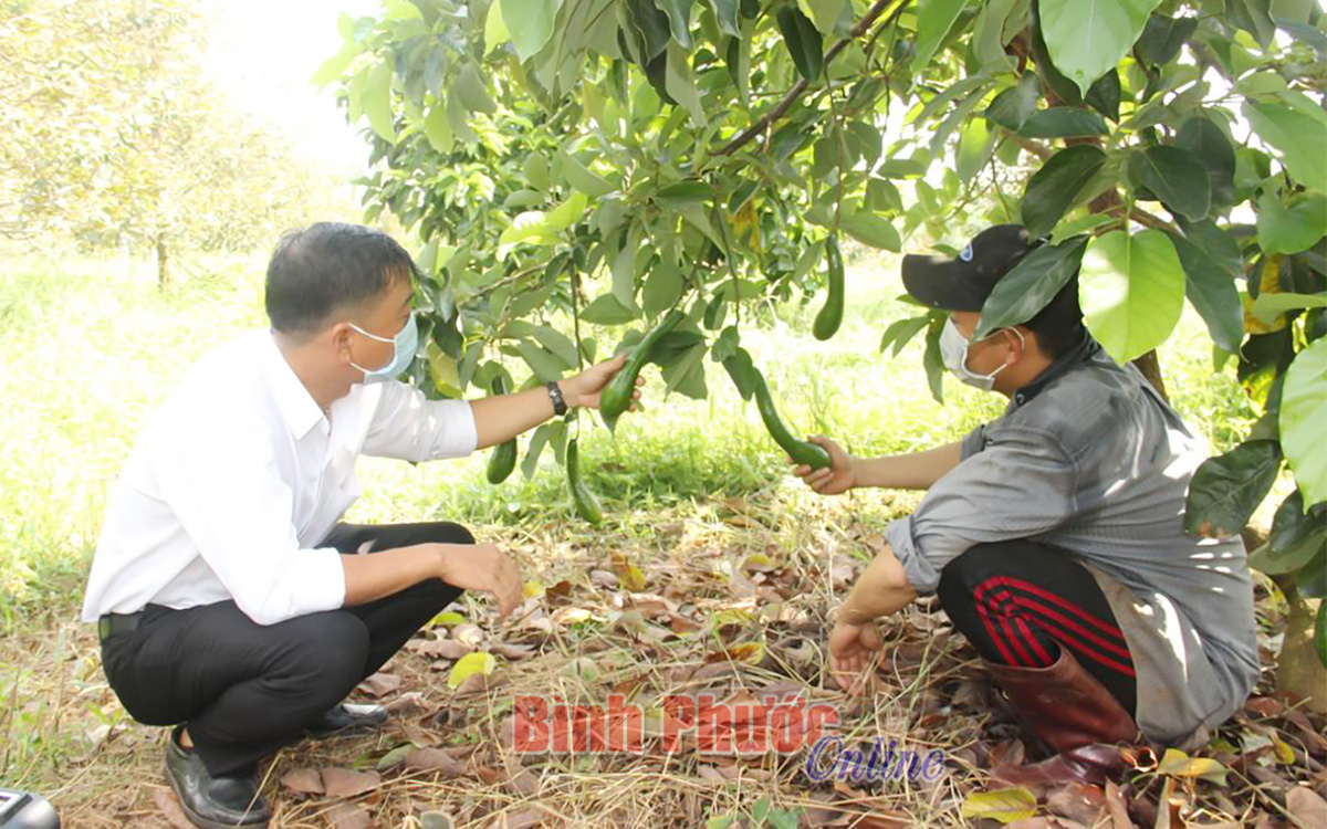 Khai thác tiềm năng phát triển kinh tế