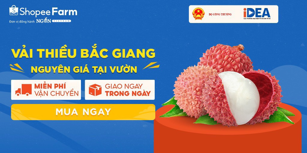 Các sàn thương mại điện tử chung tay tiêu thụ vải thiều Bắc Giang