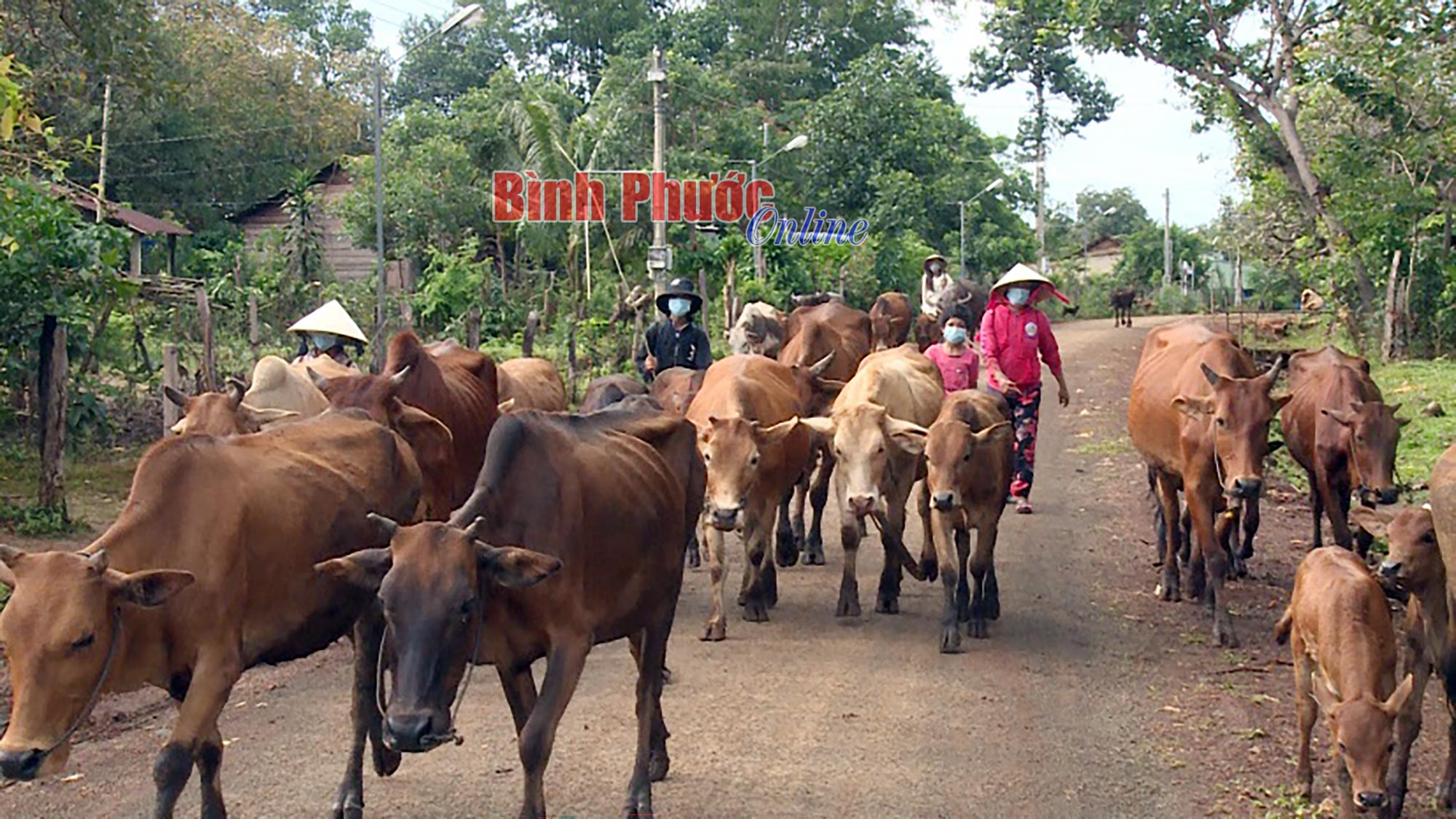 Phòng ngừa, giảm thiểu lao động sớm ở trẻ em