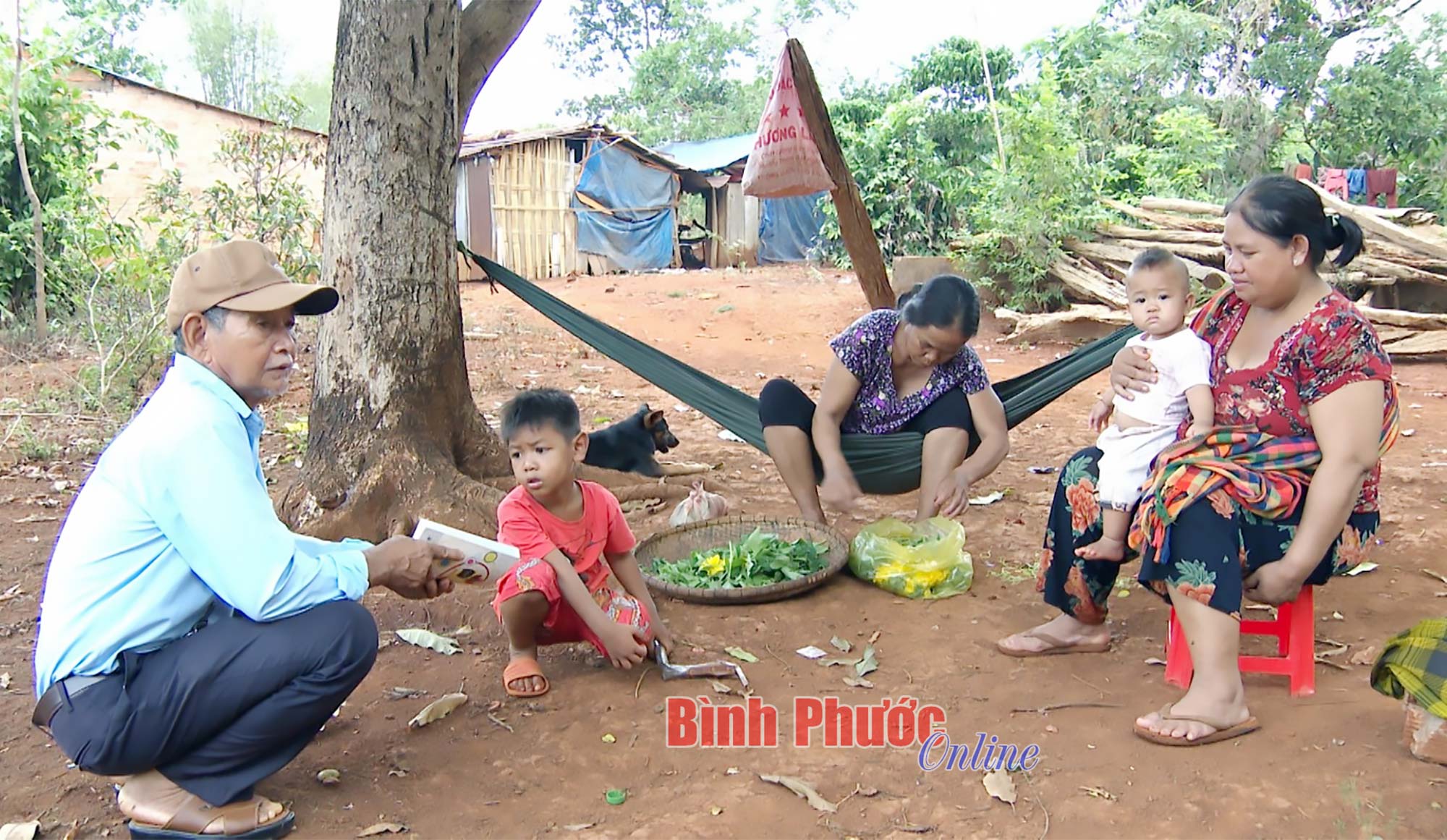 Những bước chân không mỏi