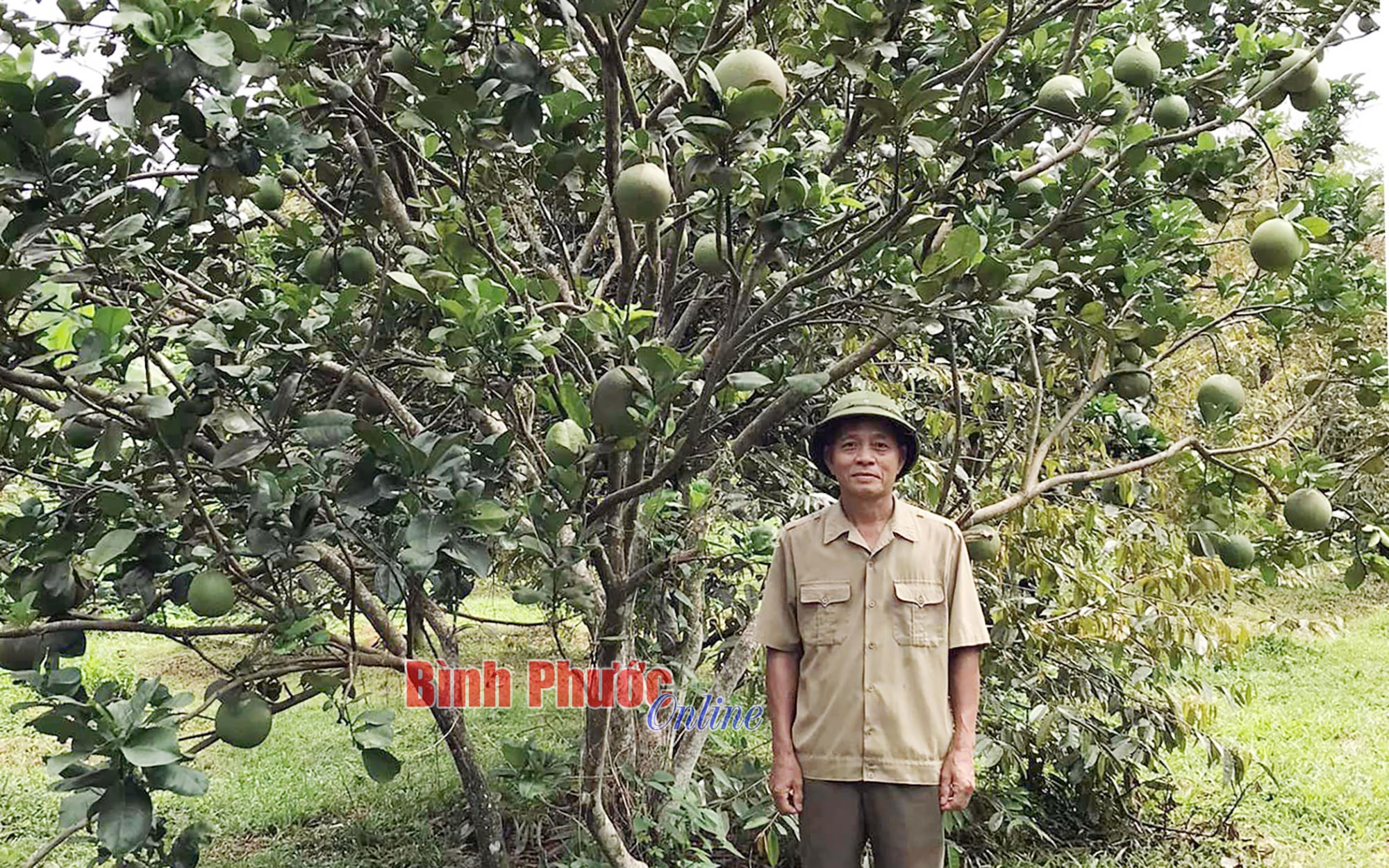 Bản lĩnh cựu chiến binh trên mặt trận sản xuất