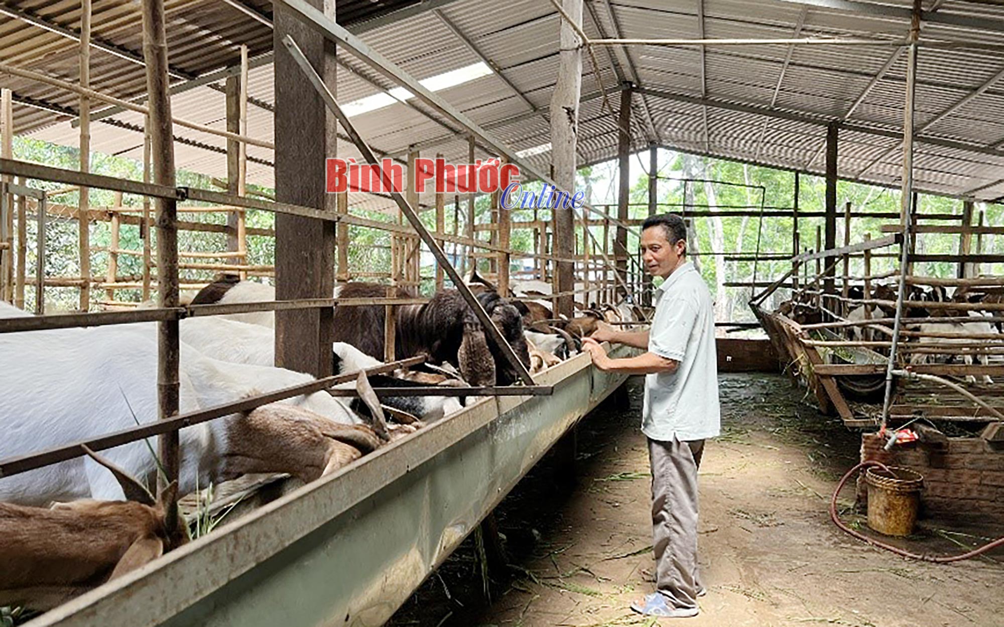 Phát triển kinh tế tuần hoàn vùng biên