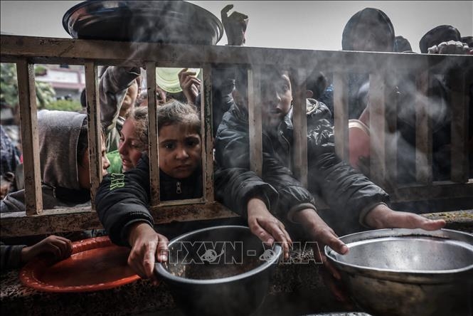 Liên hợp quốc cảnh báo 1 triệu người Gaza đối mặt nạn đói ở cấp độ cao nhất