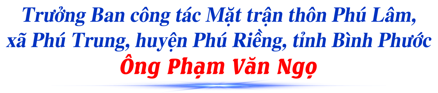 Mua nha truoc 30 tuoi o TP.HCM, Ha Noi, giac mo co xa voi? hinh anh 2 