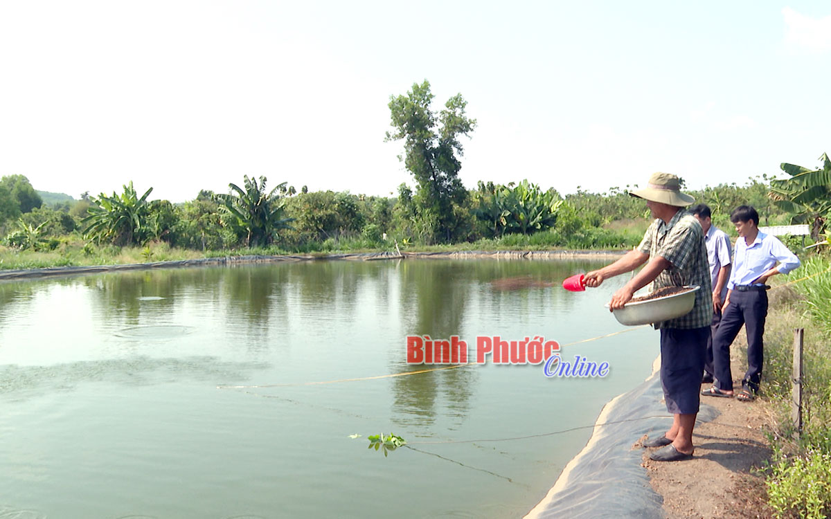 Tăng cường hiện đại hóa hệ thống thủy lợi thích ứng với biến đổi khí hậu