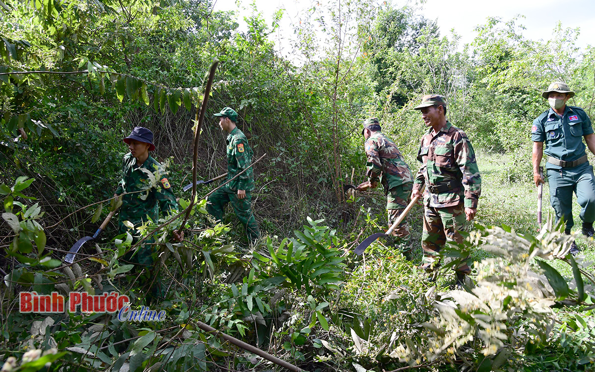 Phát quang thông tuyến đường biên giới