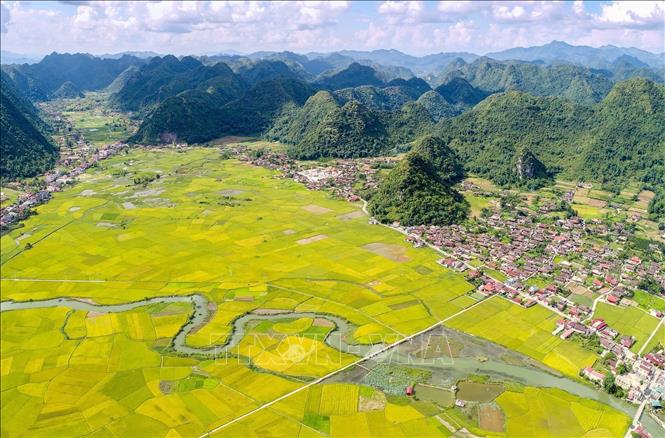 Ch&uacute; th&iacute;ch ảnh