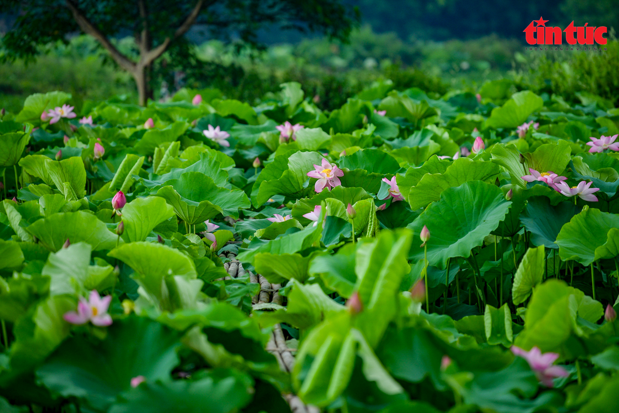Ch&uacute; th&iacute;ch ảnh