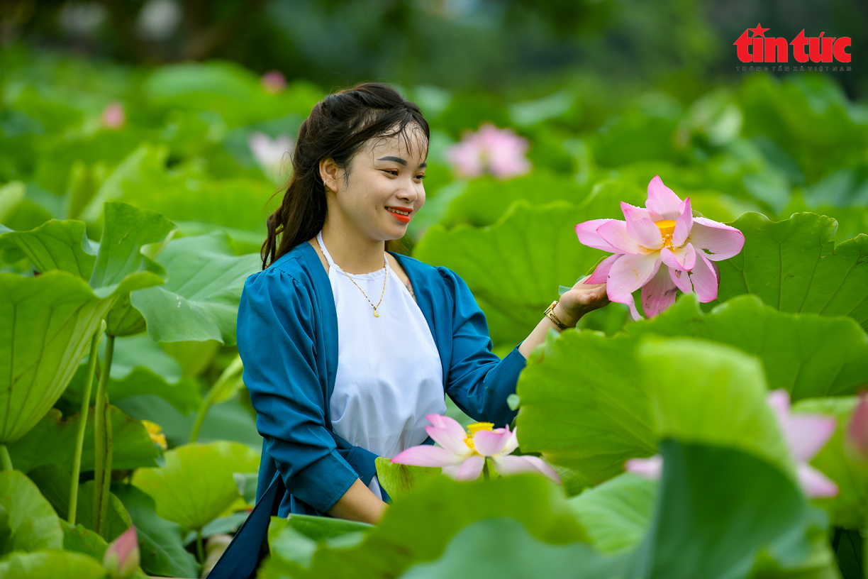 Ch&uacute; th&iacute;ch ảnh