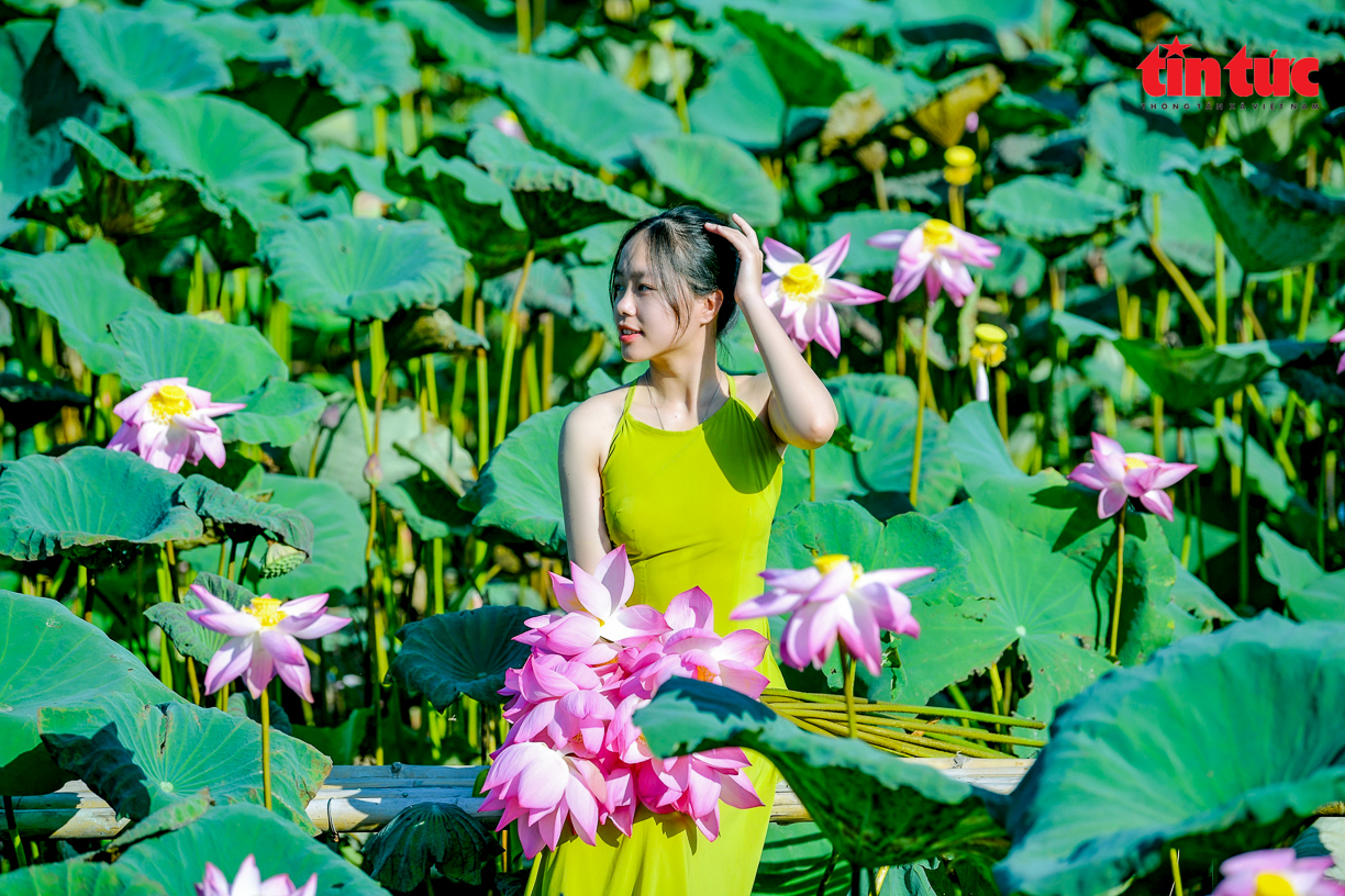 Ch&uacute; th&iacute;ch ảnh