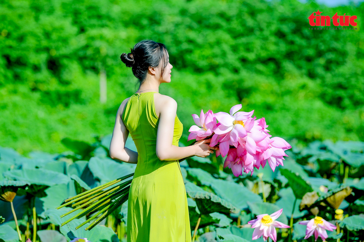 Ch&uacute; th&iacute;ch ảnh