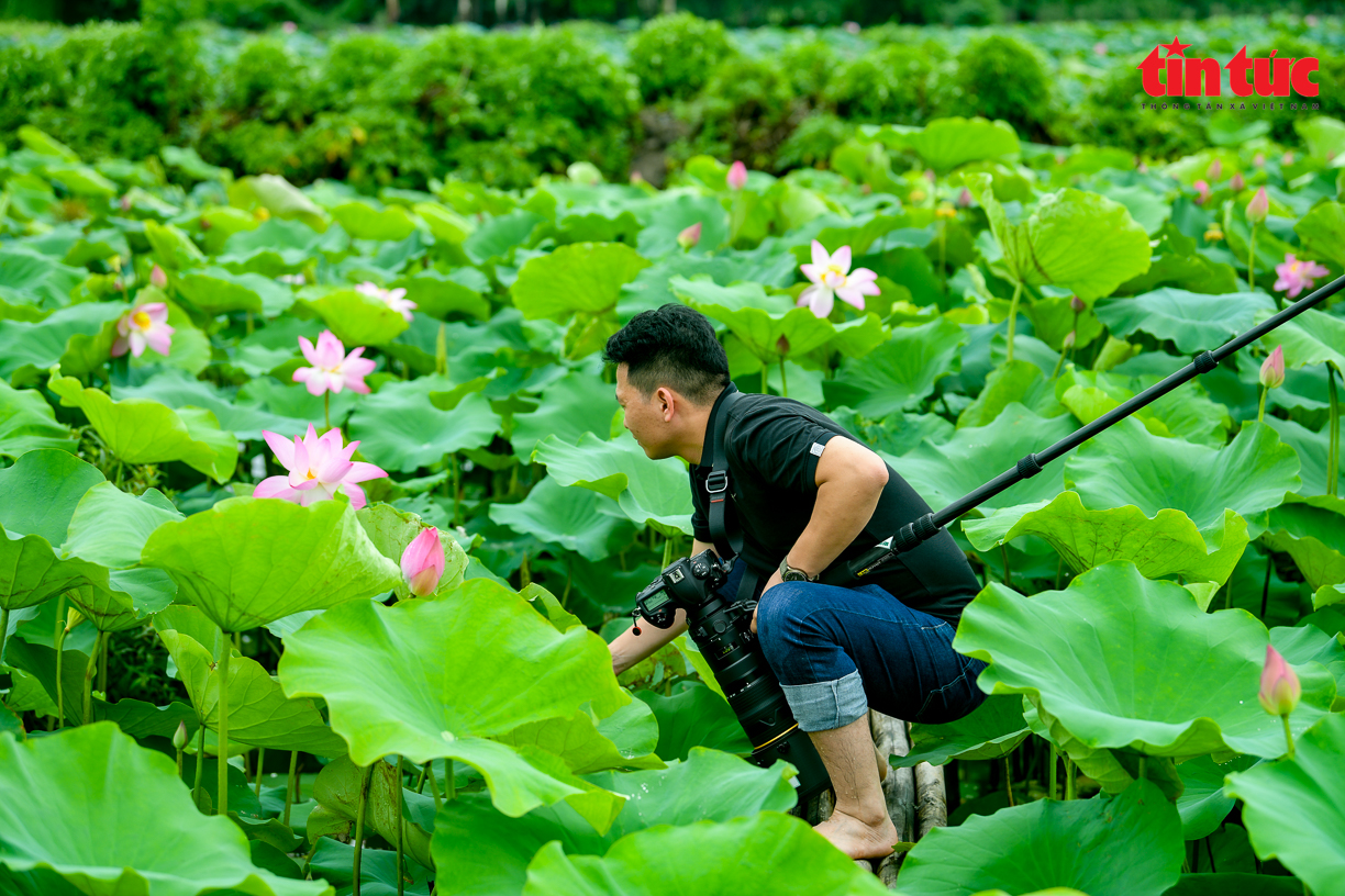 Ch&uacute; th&iacute;ch ảnh