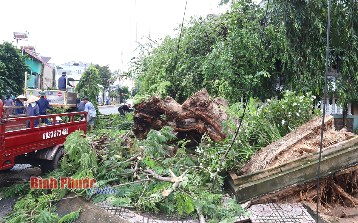 Đồng Xoài khẩn trương khắc phục sự cố đảm bảo an toàn sau giông lốc