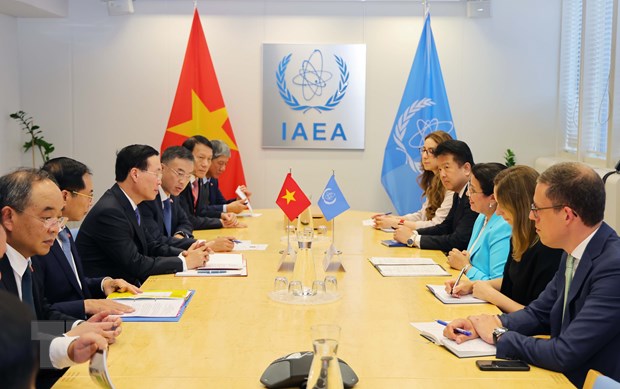 Viet Nam se tich cuc tham gia du an hop tac ky thuat IAEA khoi xuong hinh anh 2