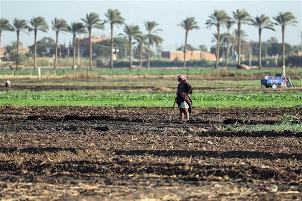 Việt Nam dự phiên họp của FAO về tăng hiệu quả quản lý tài nguyên nước