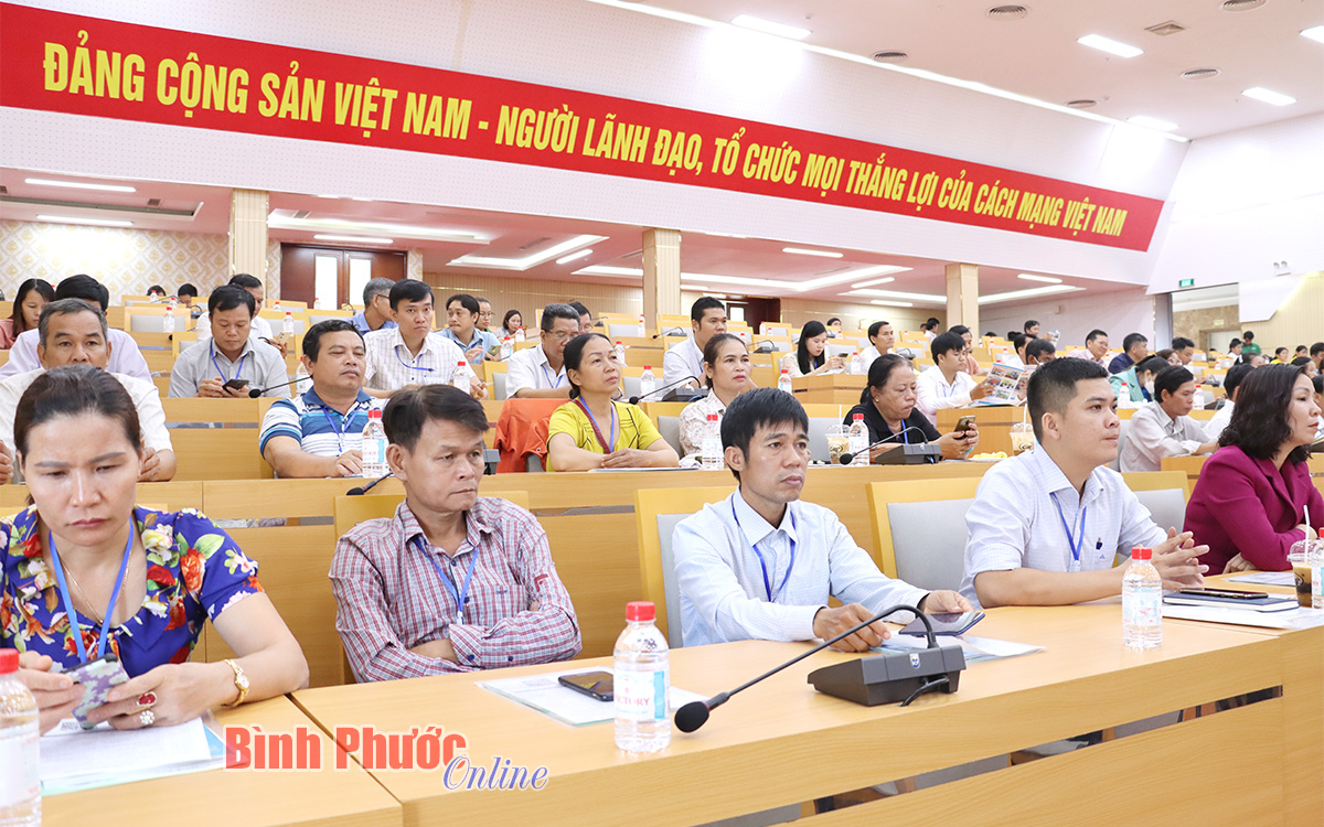binh phuoc  giai phap khoa hoc va cong nghe nang cao gia tri nganh dieu