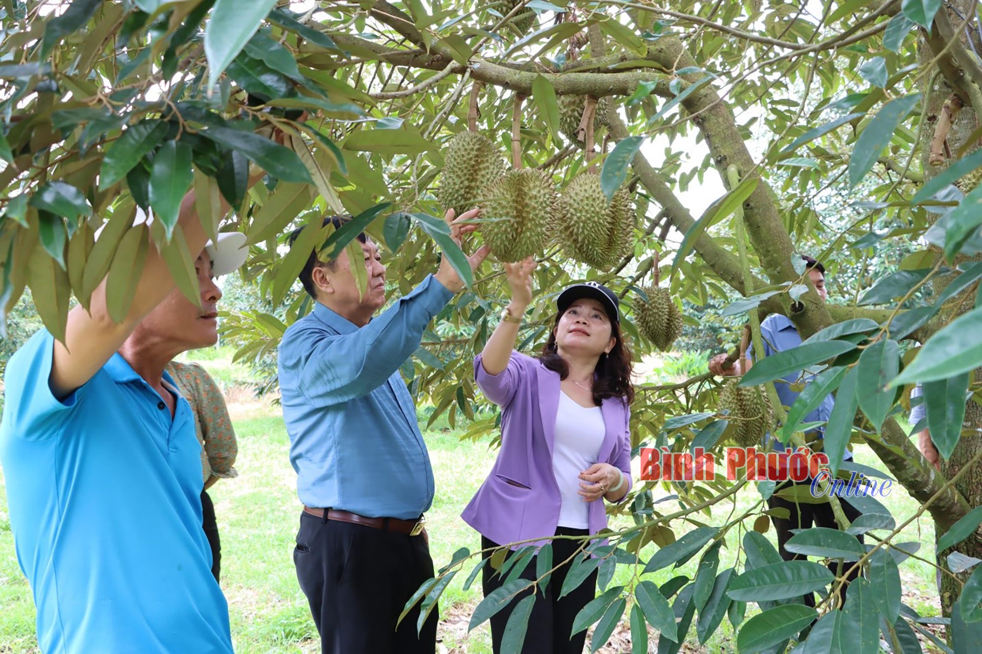 Liên kết để phát triển