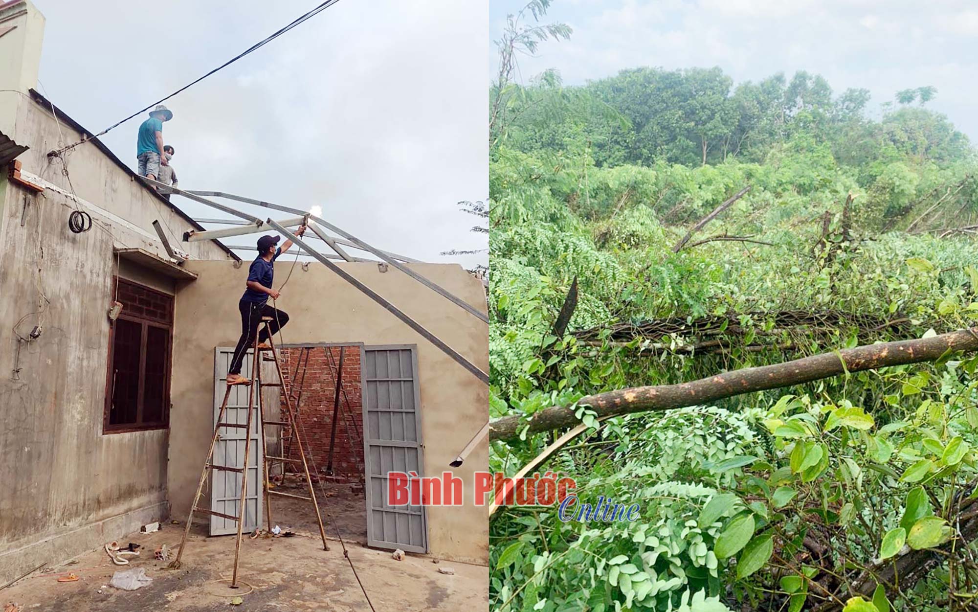 Lộc Ninh thiệt hại hơn 3 tỷ đồng do thiên tai