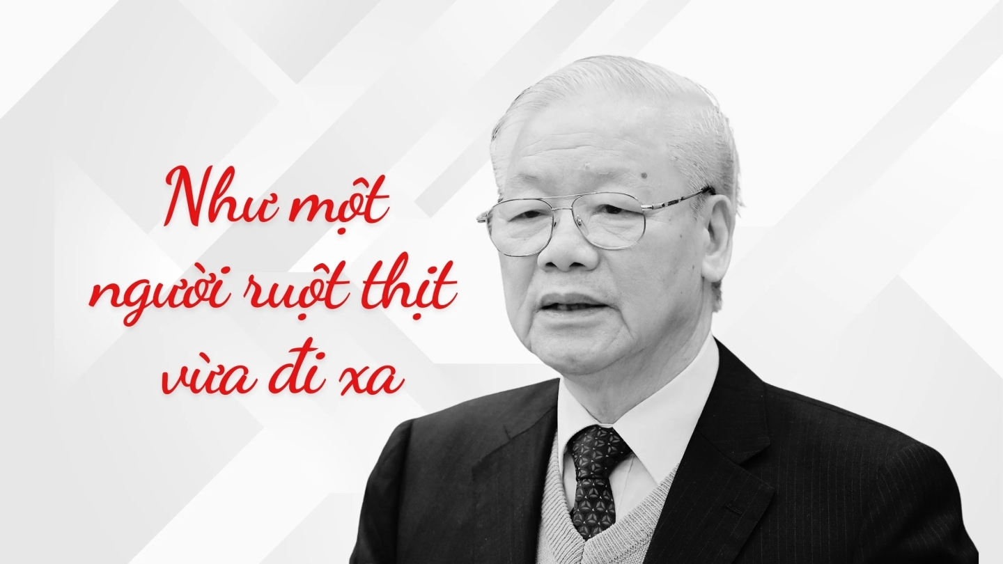 Mua nha truoc 30 tuoi o TP.HCM, Ha Noi, giac mo co xa voi? hinh anh 1