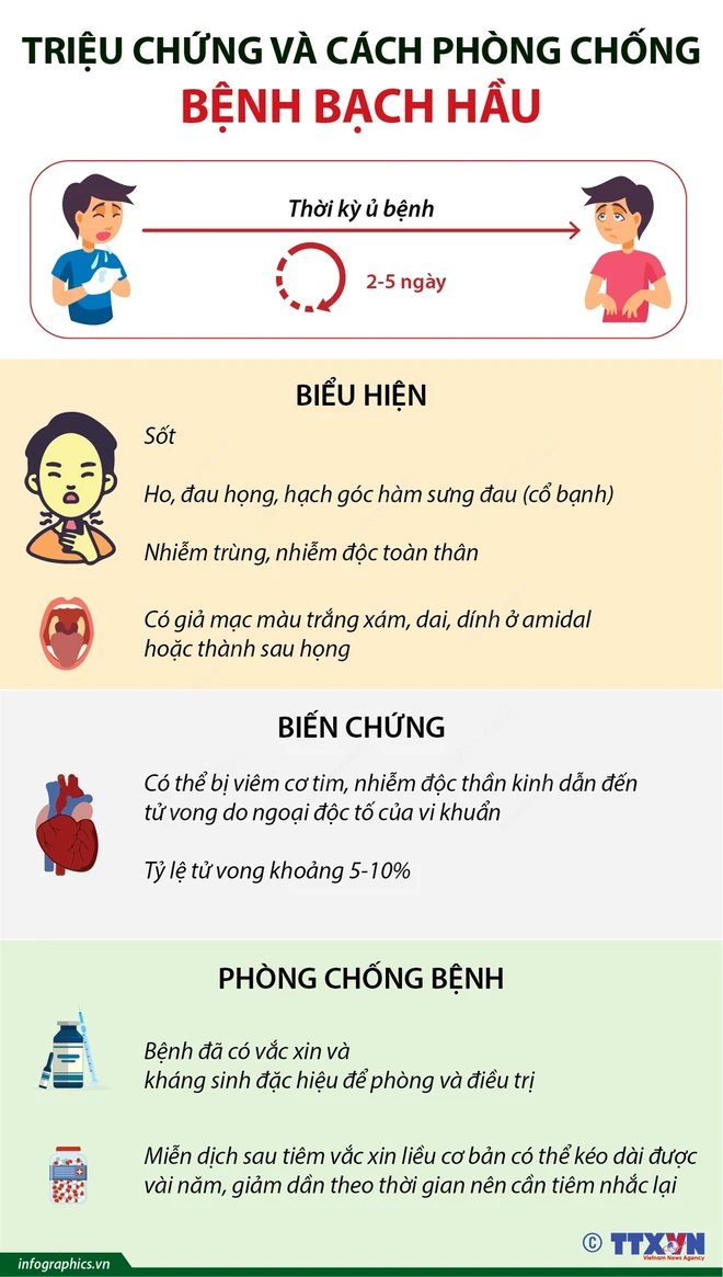 Bệnh bạch hầu có thể được phòng ngừa hiệu quả bằng việc tiêm vaccine đầy đủ và đúng lịch. (Nguồn: TTXVN) 0907bachhau.jpg