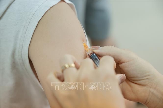 Những vaccine nào có thể phòng, chống được bệnh bạch hầu?