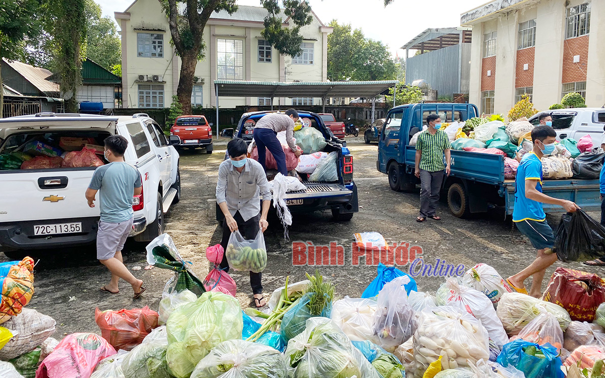 Bù Đăng: 40 tấn rau, củ, quả ủng hộ nhân dân TP. Hồ Chí Minh