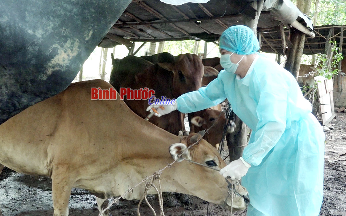 Chơn Thành: Triển khai tiêm gần 2 ngàn liều vắc