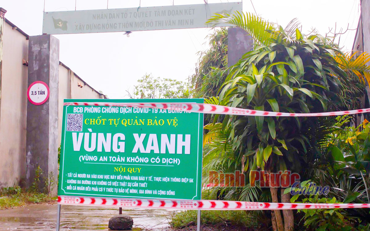 Hãy trân trọng giá trị “xanh”