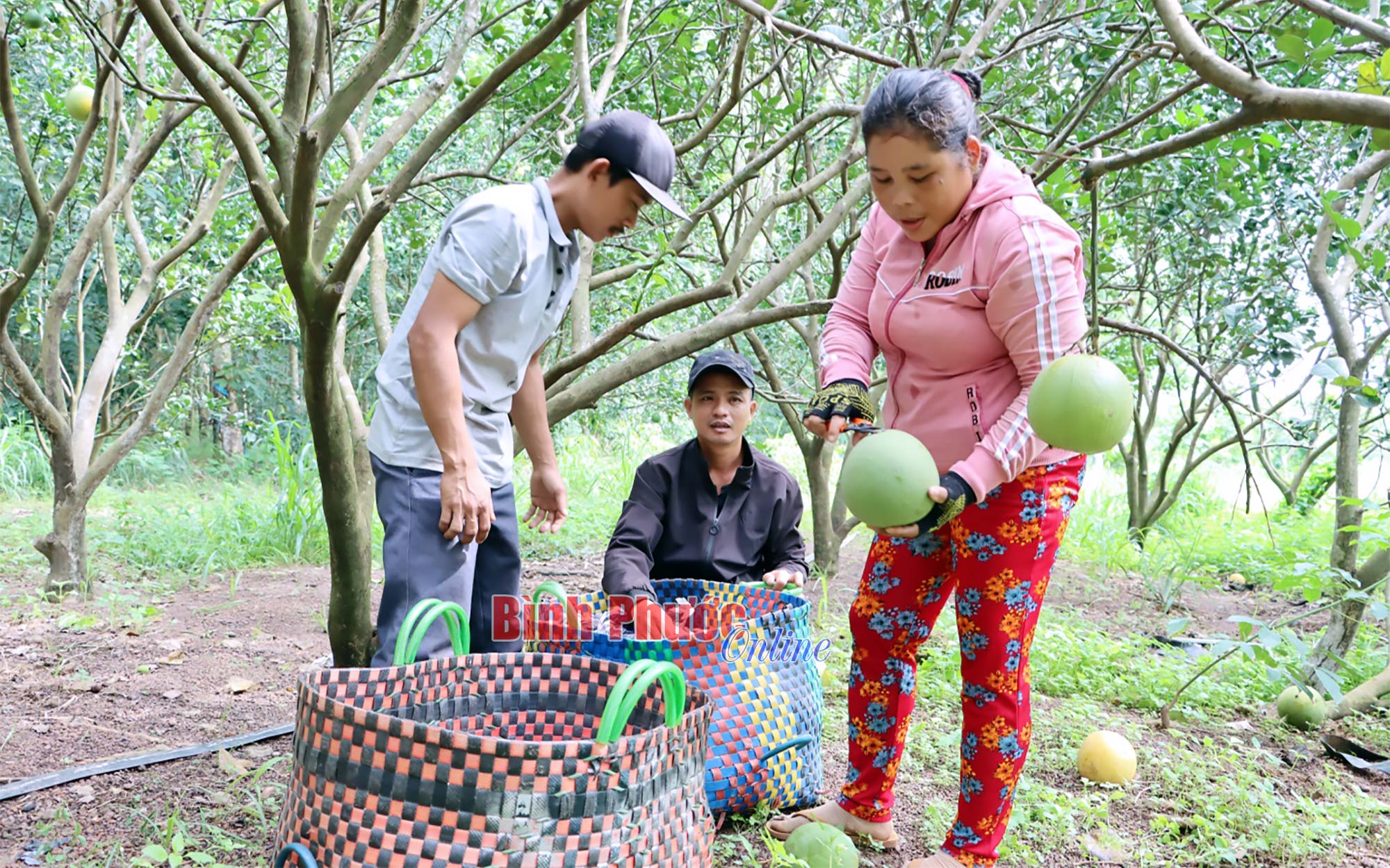 Sắc mới ở Lộc Ninh