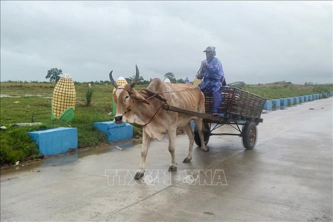 Siêu bão Saola khiến hàng trăm người Philippines phải sơ tán