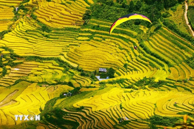 ttxvn-mu cang chai2.jpg