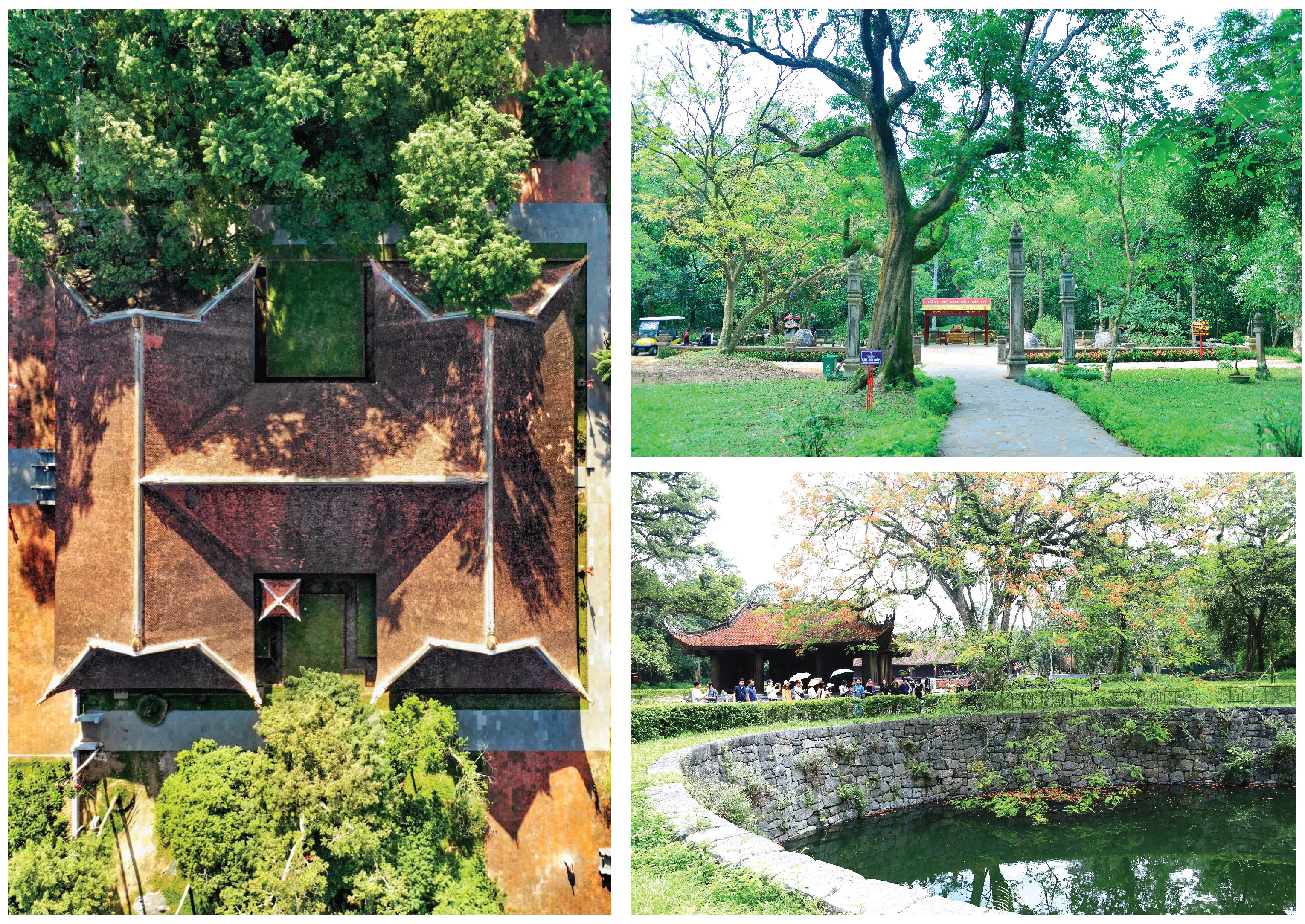 Hào khí Lam Sơn tỏa rạng trường tồn cùng khí phách dân tộc !