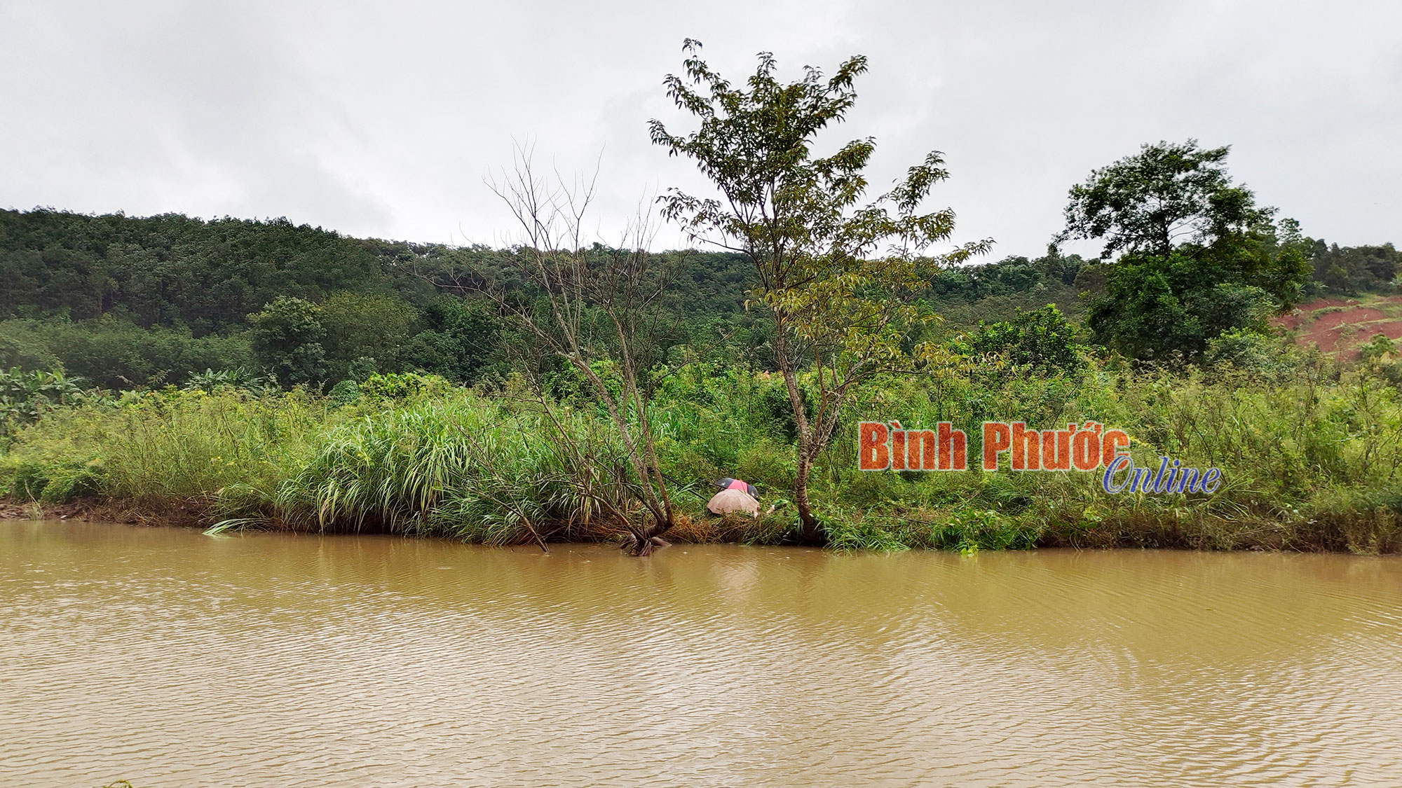 Phước Long: Cụ ông tử vong khi đi thả lưới, bắt cá