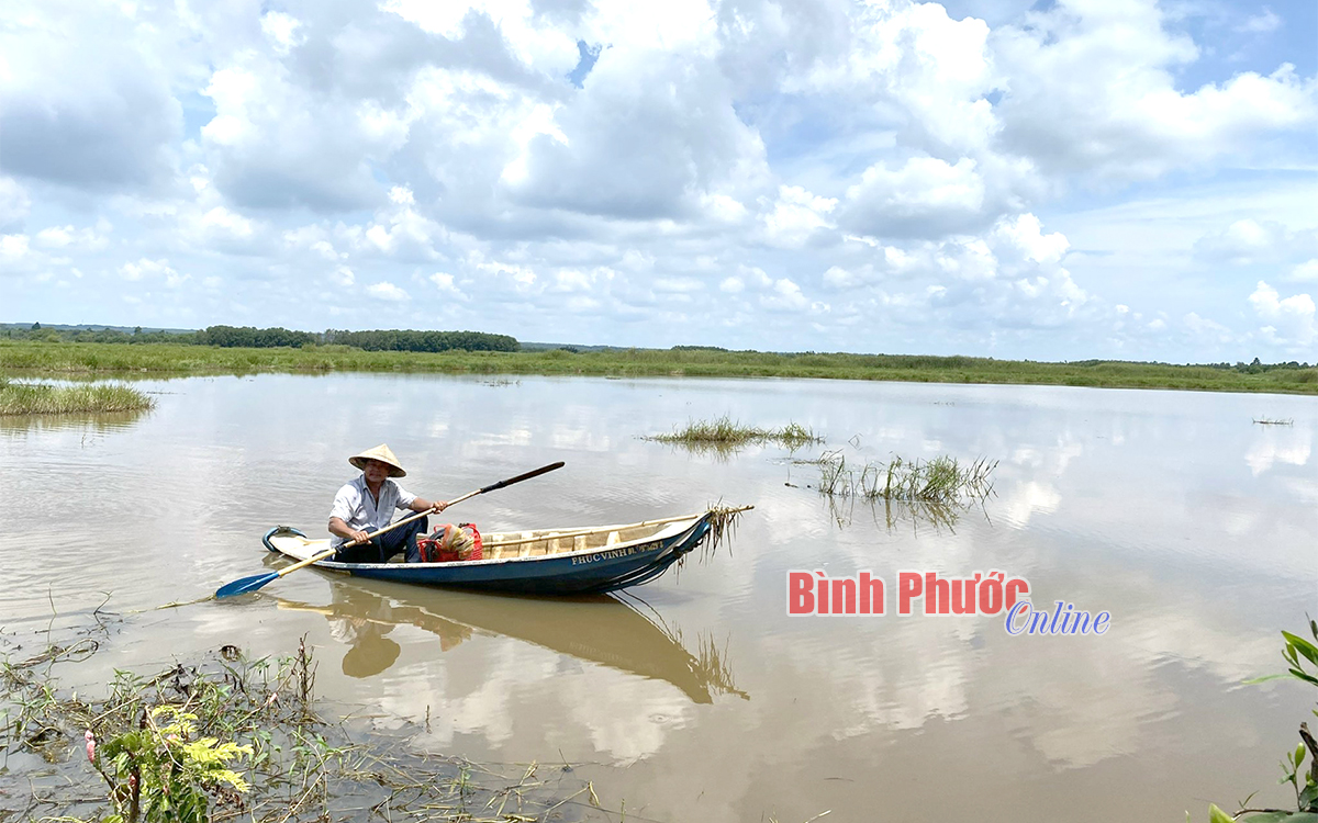 Cần giải quyết dứt điểm tranh chấp đất bàu Đưng