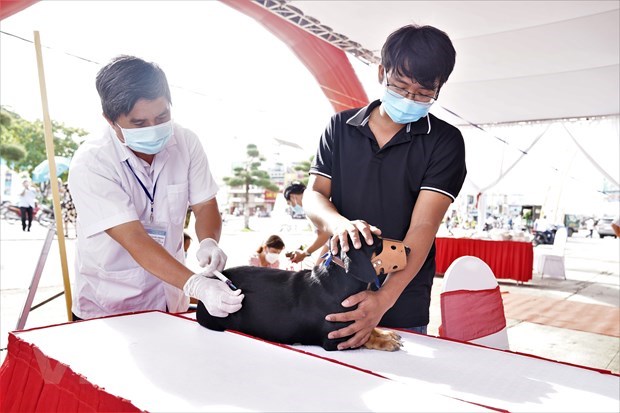 Việt Nam cam kết đến 2030 loại bỏ các ca tử vong ở người do bệnh dại hình ảnh 1 Viet Nam cam ket den 2030 loai bo cac ca tu vong o nguoi do benh dai hinh anh 1