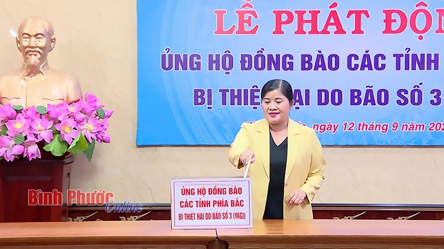 Mua nha truoc 30 tuoi o TP.HCM, Ha Noi, giac mo co xa voi? hinh anh 8 