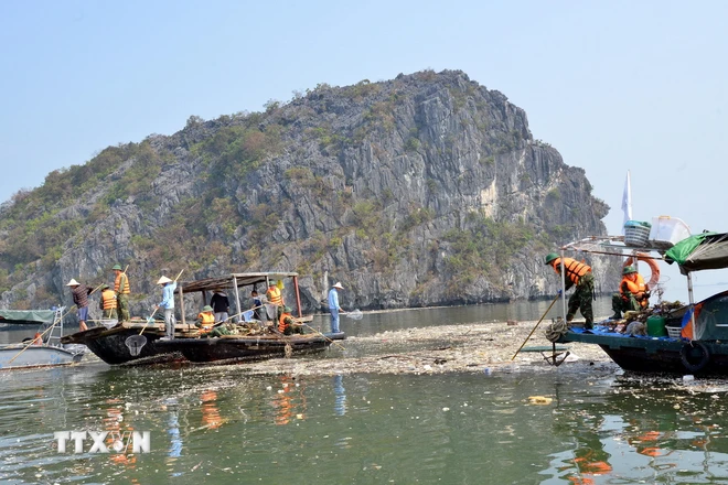 Chiến dịch “3 ngày làm sạch vịnh Hạ Long” diễn ra từ ngày 15-17/9. Mỗi ngày sẽ có từ 35-50 phương tiện gồm khoảng 150-200 người tham gia. (Ảnh: Thanh Vân/TTXVN) ttxvn_1509_vinh ha long (1).jpg