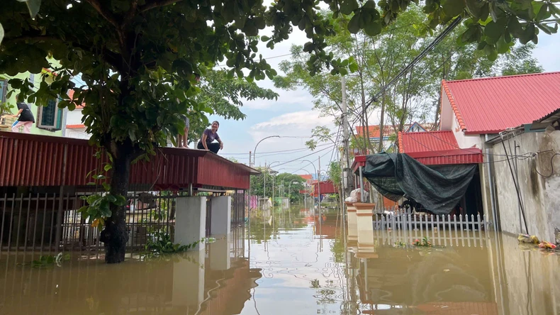 Ninh Bình: Hàng nghìn hộ dân ở huyện Nho Quan bị ngập sâu trong nước ảnh 2