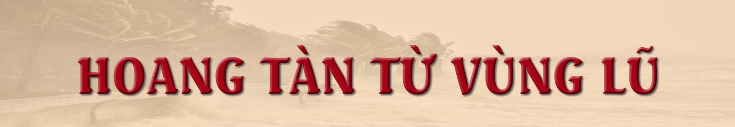 Mua nha truoc 30 tuoi o TP.HCM, Ha Noi, giac mo co xa voi? hinh anh 2 