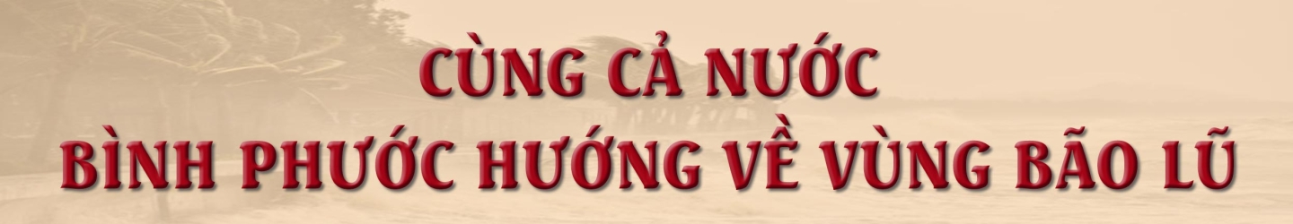 Mua nha truoc 30 tuoi o TP.HCM, Ha Noi, giac mo co xa voi? hinh anh 2 