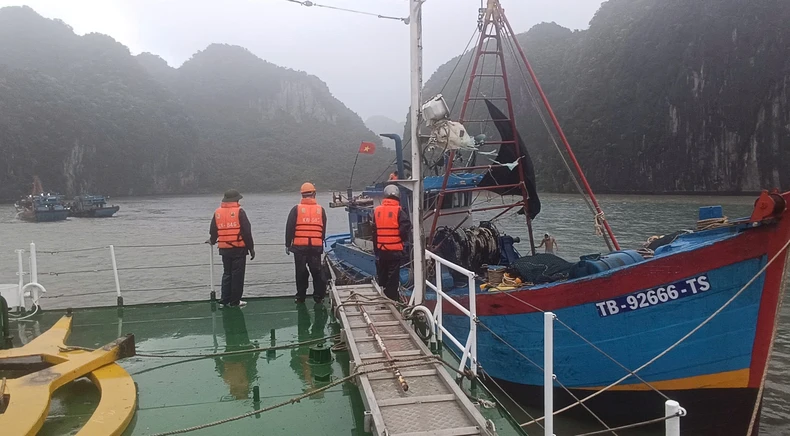 Vùng 3 Hải quân kịp thời cứu ngư dân gặp nạn trong bão số 3 ảnh 3