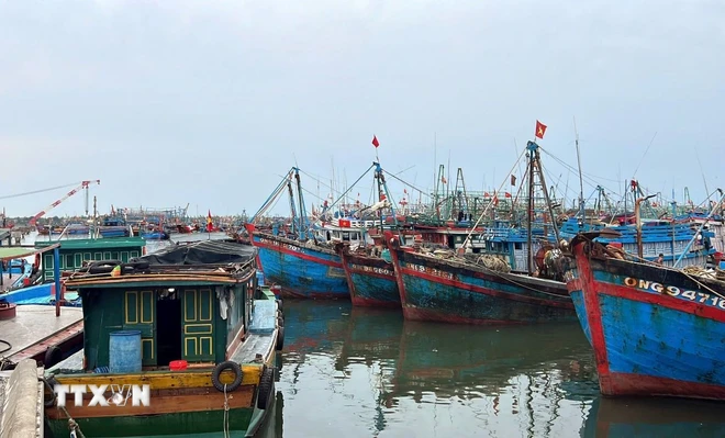 Tàu thuyền đang neo đậu tránh bão. (Ảnh minh họa: TTXVN phát) ttxvn_tranh bao quang binh.jpg