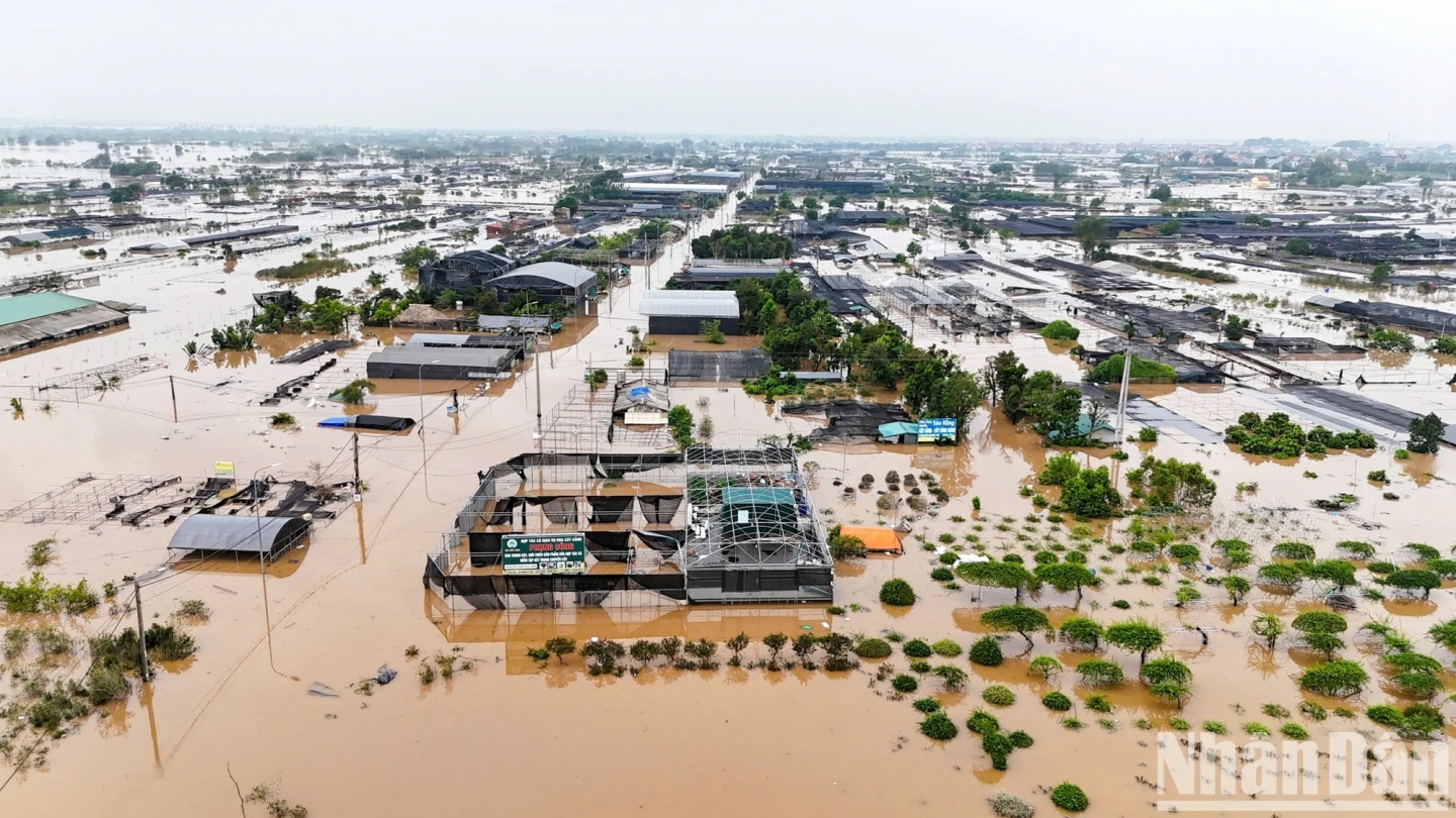 Mua nha truoc 30 tuoi o TP.HCM, Ha Noi, giac mo co xa voi? hinh anh 1 