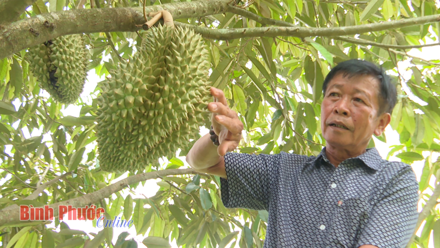 Đồng hành cùng “tam nông”