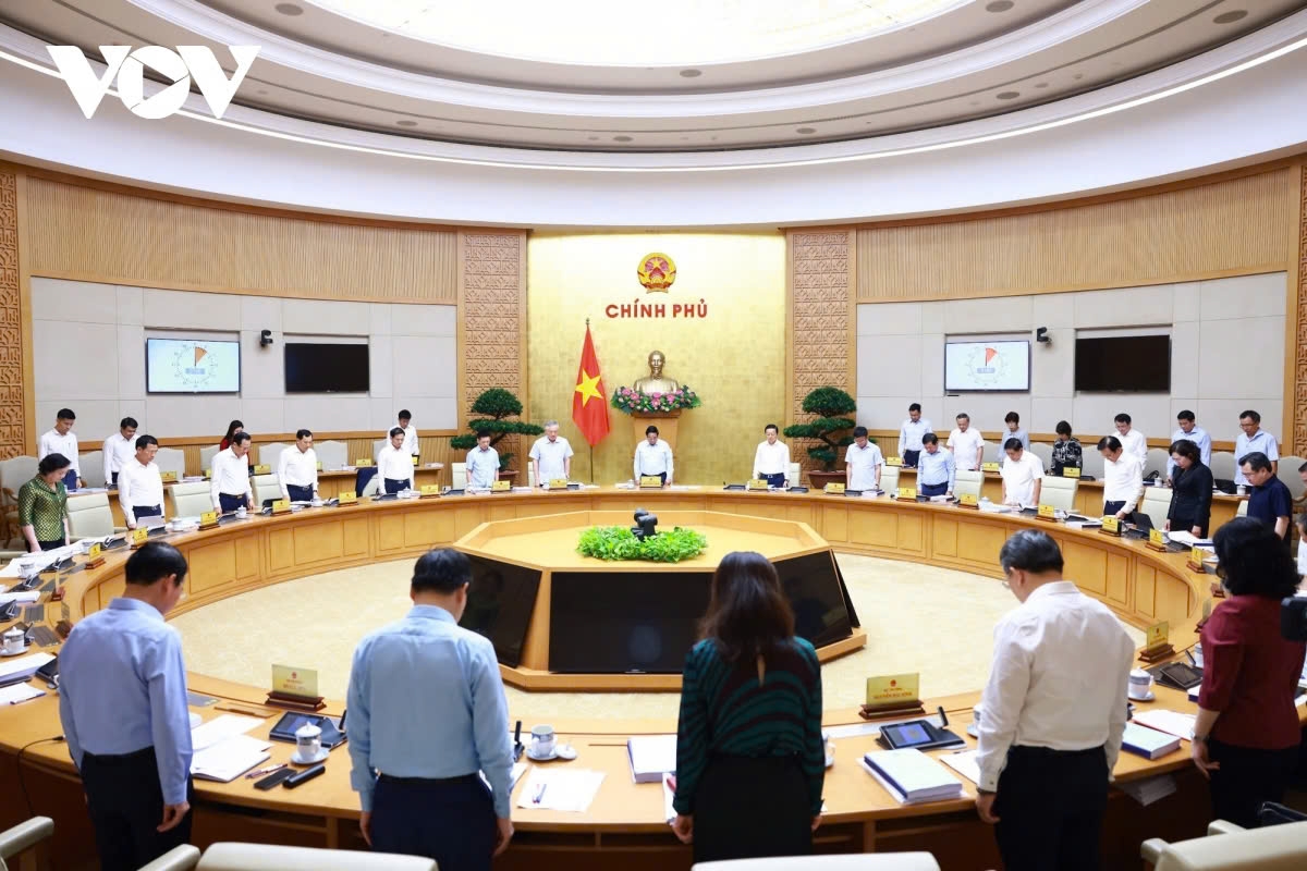 Mua nha truoc 30 tuoi o TP.HCM, Ha Noi, giac mo co xa voi? hinh anh 8 