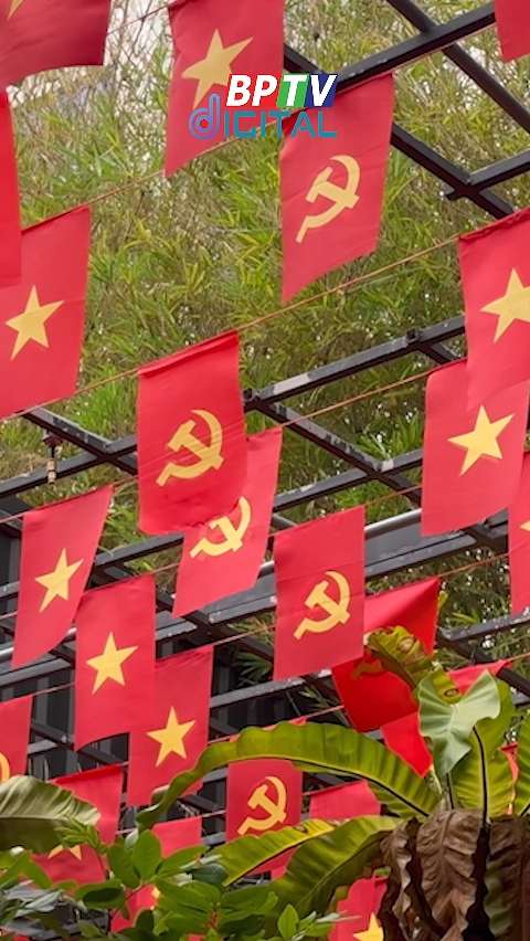 50 năm - màu cờ vẫn thắm, lòng dân vẫn đỏ rực niềm tin! #shorts