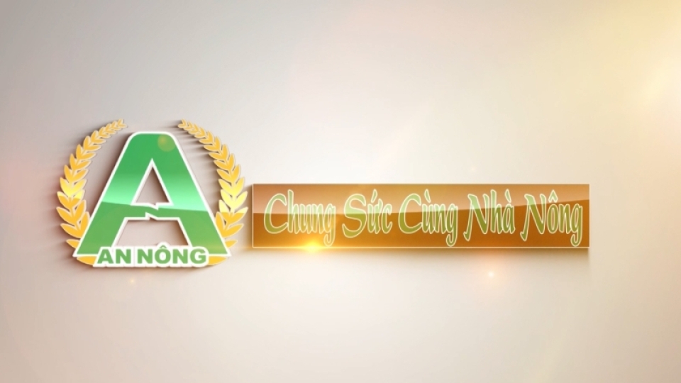An Nông chung sức cùng nhà nông 16-8-2024 
