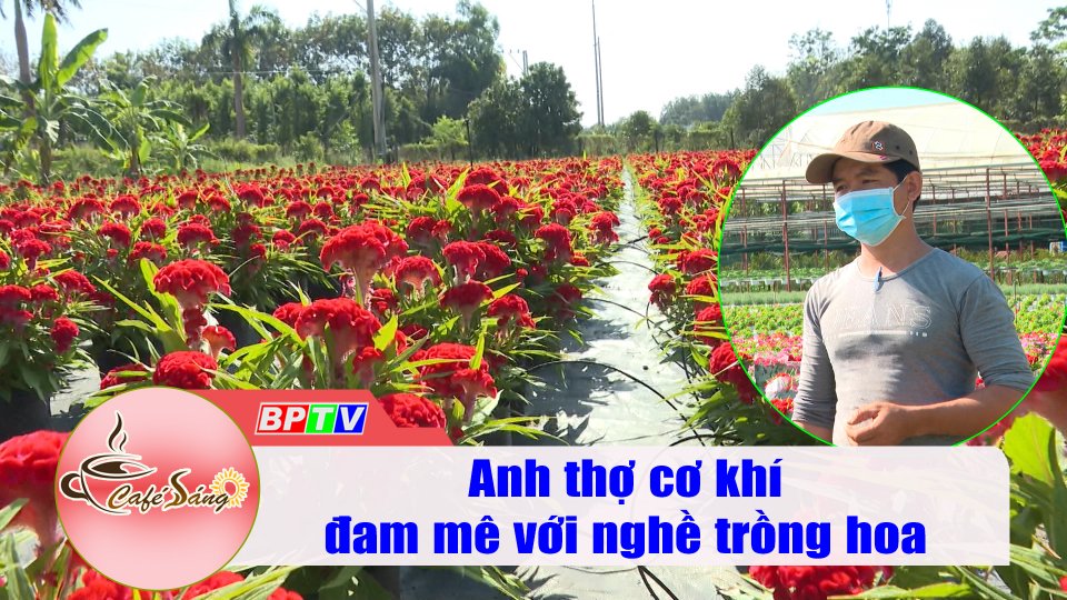 Anh thợ cơ khí đam mê với nghề trồng hoa |Cà phê sáng 13-1-2021 |BPTV