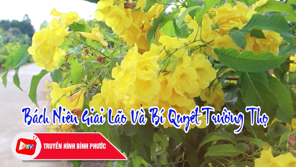 Bách niên giai lão và bí quyết trường thọ| BPTV
