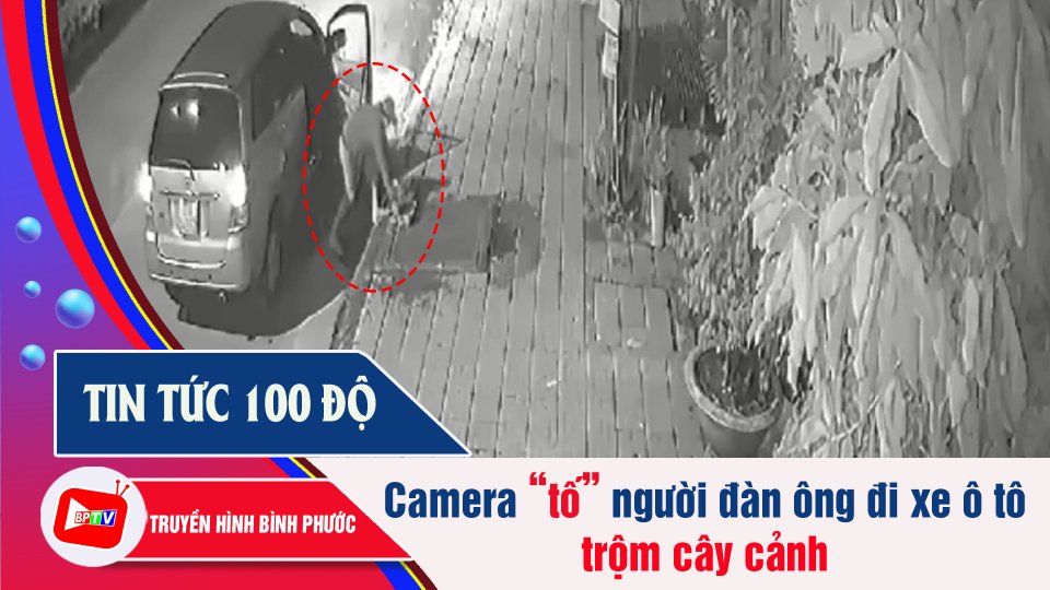 Bản tin 100 độ 20-11-2021 	